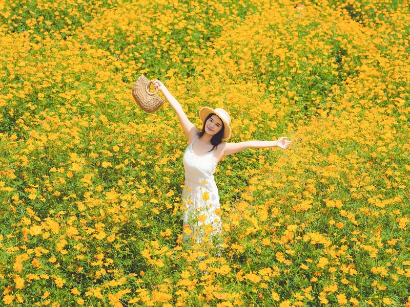 Wellness Journey Image